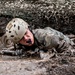 U.S. Air Force Academy Basic Cadet Training Class of 2023