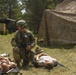 IANG Soldier Pulls Security