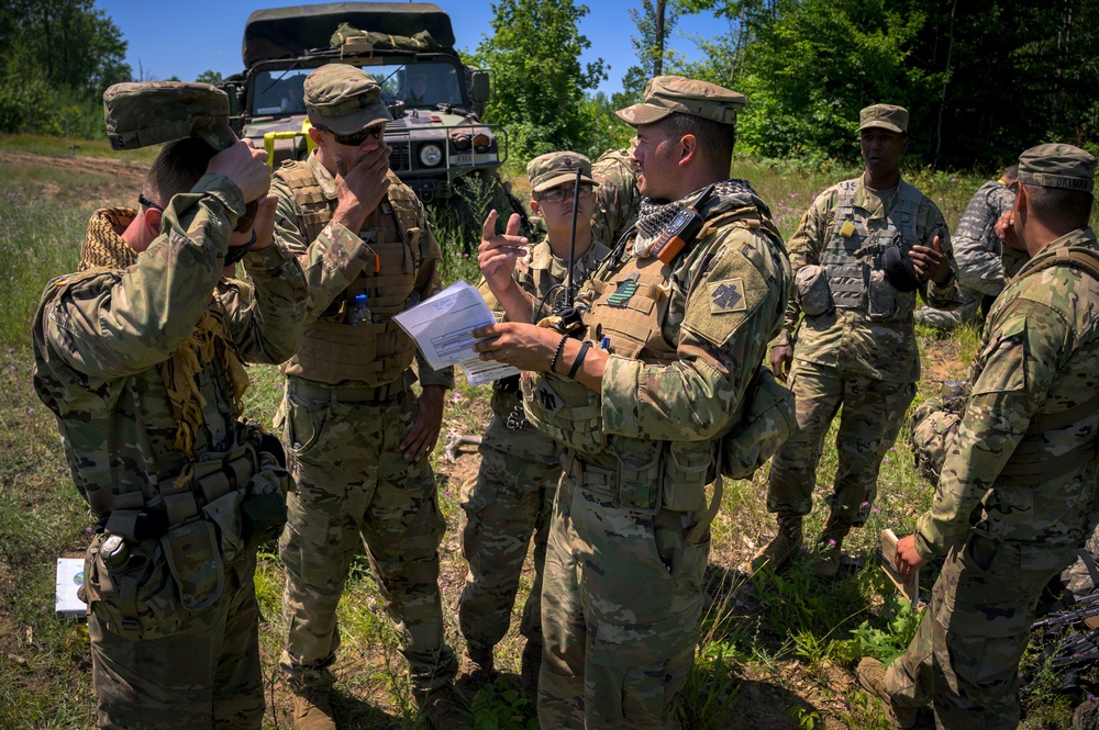 Joint fire support specialists direct close air support at Northern Strike 19