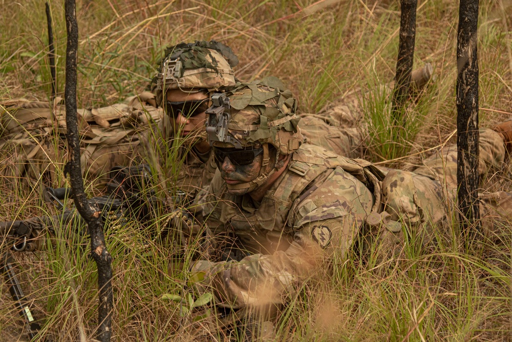 Soldiers Participate in Exercise Hamel during Talisman Saber