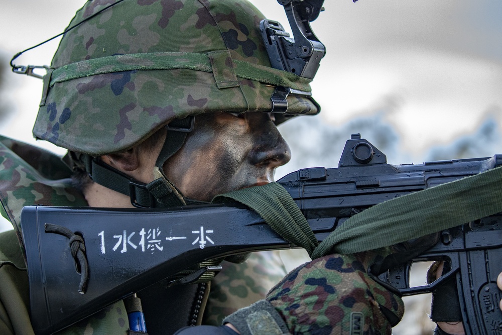 Japan Self Defense Force conducts reconnaissance before partnered beach assault
