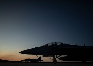 Electronic Attack Squadron 136 Growlers at Northern Strike 19