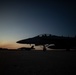 Electronic Attack Squadron 136 Growlers at Northern Strike 19