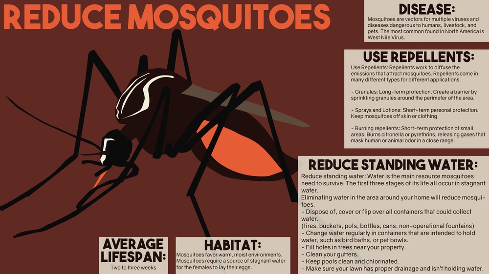 Mosquito Awareness Graphic