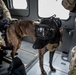 Kentucky Air Guard is home to only search and rescue dog in DOD