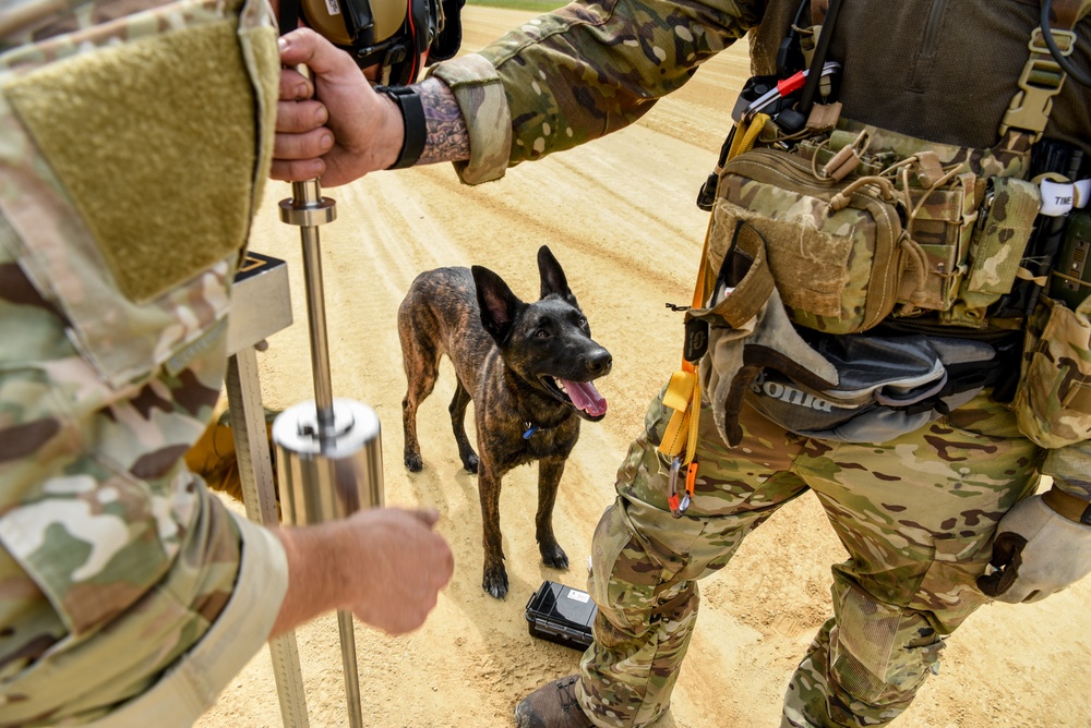 Kentucky Air Guard is home to only search and rescue dog in DOD