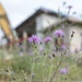 Old fire station on Otis Air National Guard Base demolished