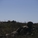 31st MEU conducts combined amphibious assault during Talisman Sabre 2019
