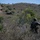 31st MEU conducts combined amphibious assault during Talisman Sabre 2019