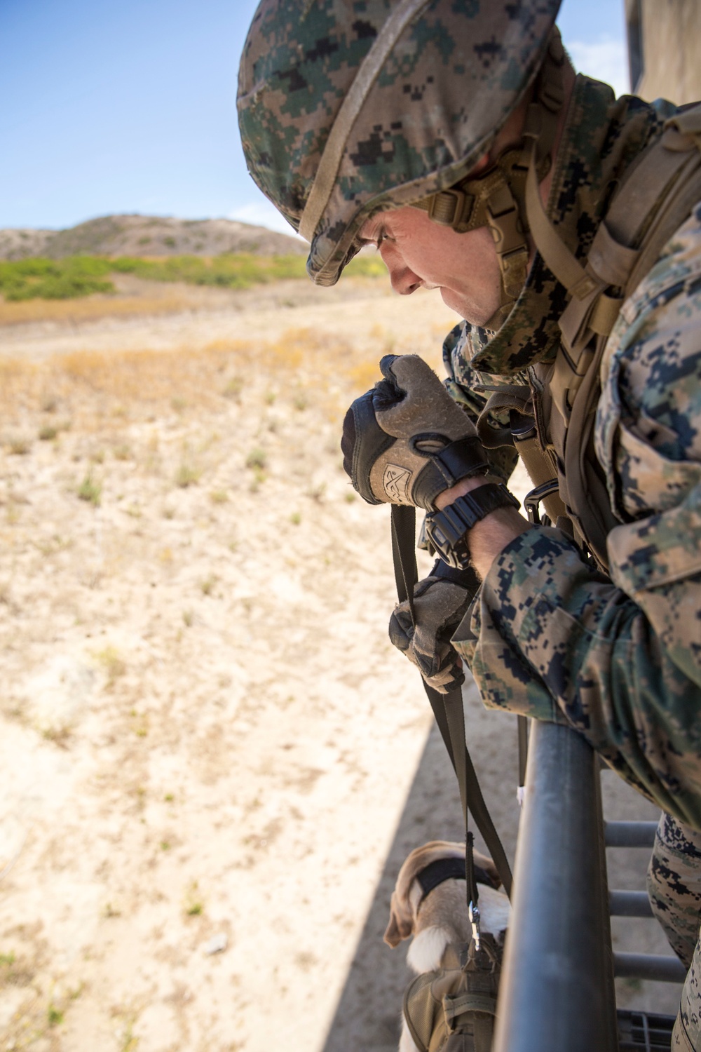 Sharing Skills: MARSOC canine handlers host subject matter expert exchange