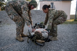 Joint military medical team at Northern Strike 19