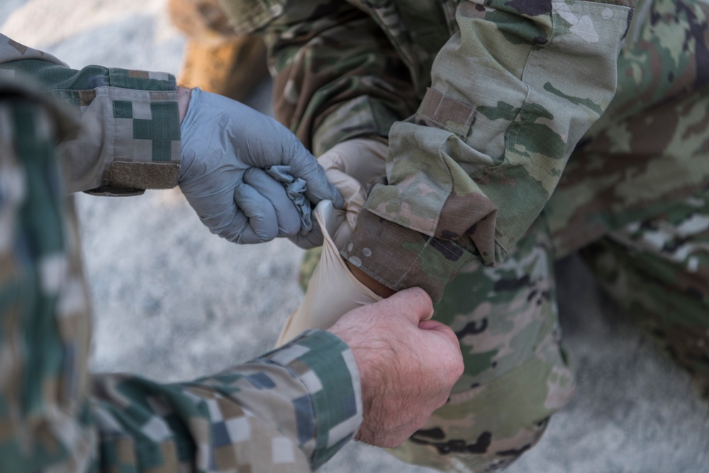 Joint military medical team cooperates at Northern Strike 19