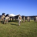 Blackjack Training