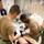NMCP Staff Provides Training to USS Eisenhower Corpsmen NMCP Staff Provides Training to USS Eisenhower Corpsmen