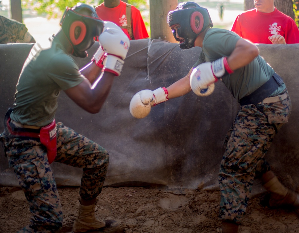 Delta Company Body Sparring