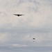 Airdrop Action for Patriot North 2019 Exercise at Fort McCoy