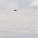 Airdrop Action for Patriot North 2019 Exercise at Fort McCoy