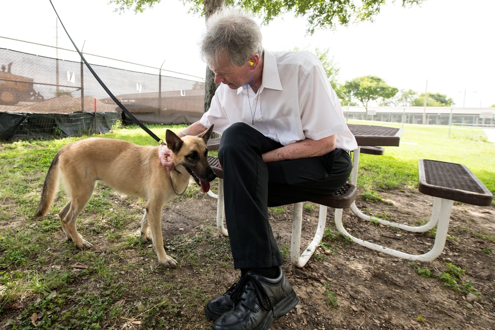 Retired MWDs looking for family, homes, couches