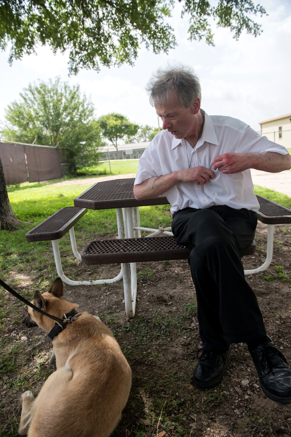 Retired MWDs looking for family, homes, couches