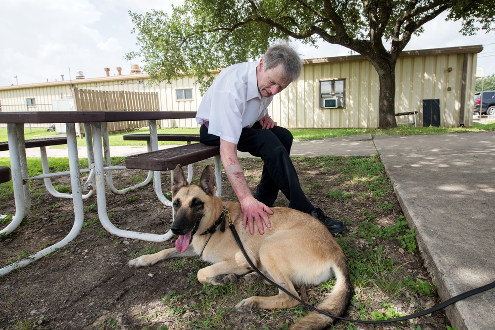 Retired MWDs looking for family, homes, couches