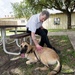 Retired MWDs looking for family, homes, couches