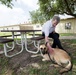 Retired MWDs looking for family, homes, couches