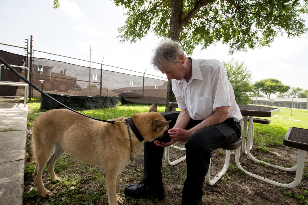 Retired MWDs looking for family, homes, couches