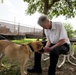 Retired MWDs looking for family, homes, couches
