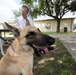 Retired MWDs looking for family, homes, couches