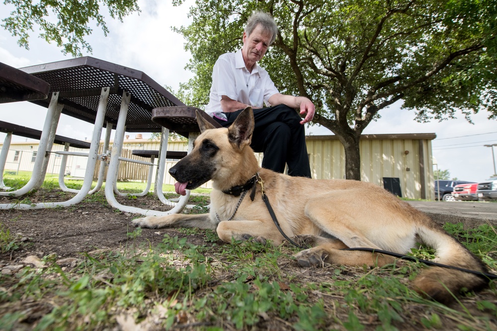 Retired MWDs looking for family, homes, couches