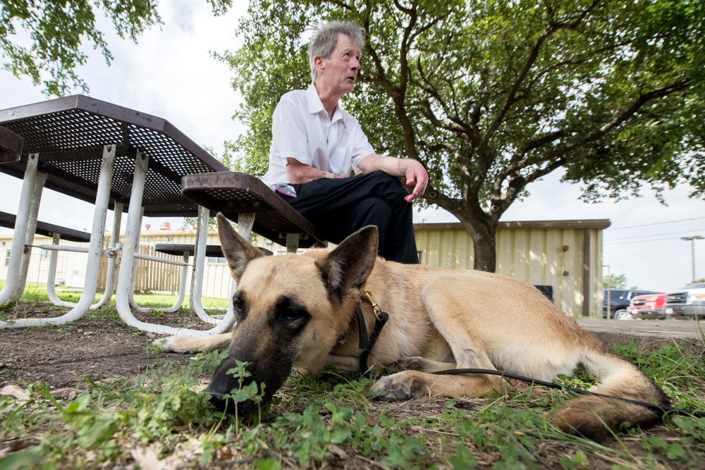 Retired MWDs looking for family, homes, couches