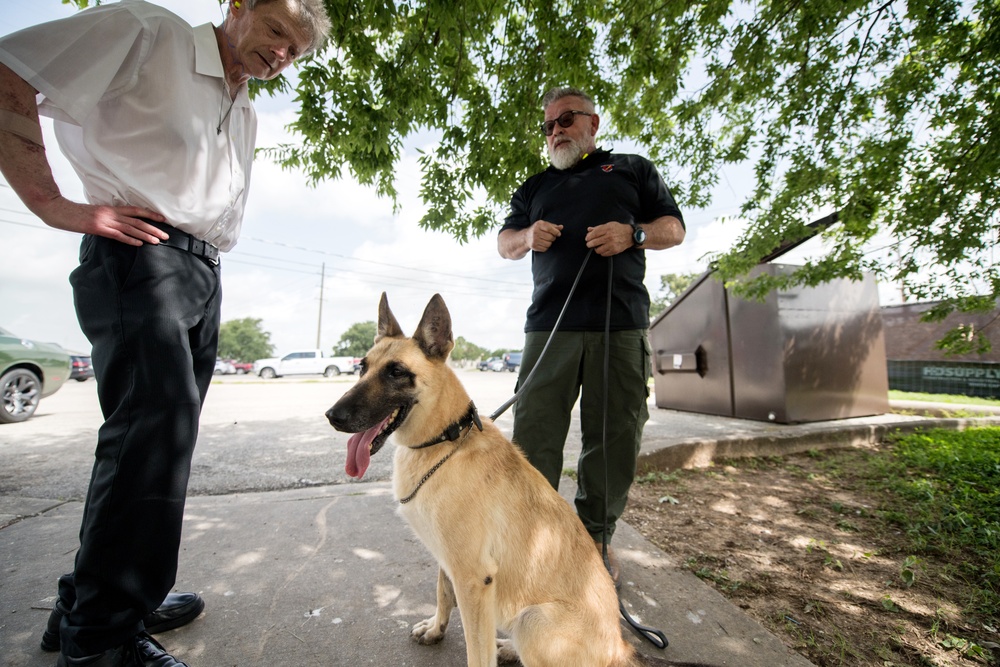 Retired MWDs looking for family, homes, couches
