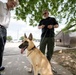 Retired MWDs looking for family, homes, couches
