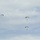 Special operations Airmen conducts airborne insertion for Patriot North 2019 exercise at Fort McCoy