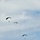 Special operations Airmen conducts airborne insertion for Patriot North 2019 exercise at Fort McCoy