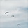 Special operations Airmen conducts airborne insertion for Patriot North 2019 exercise at Fort McCoy