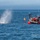 NOAA and U.S. Coast Guard free entangled whale