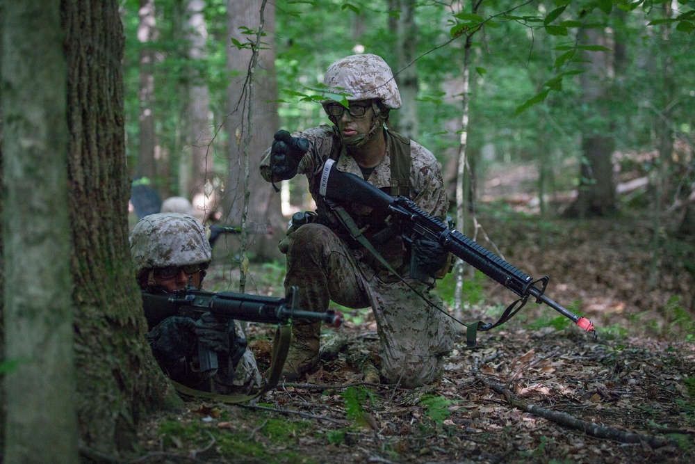 Marine Corps officer candidates embark on a field exercise