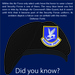 Security forces beret