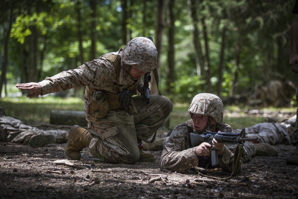 Marine Corps officer candidates practice fire and movement drills