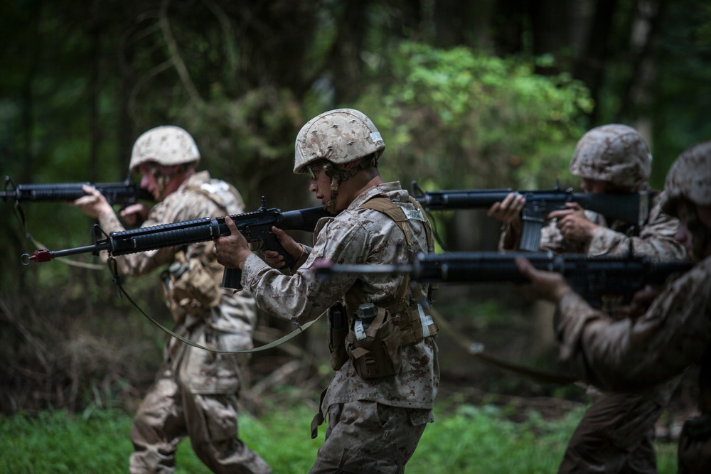 Marine Corps officer candidates practice fire and movement drills