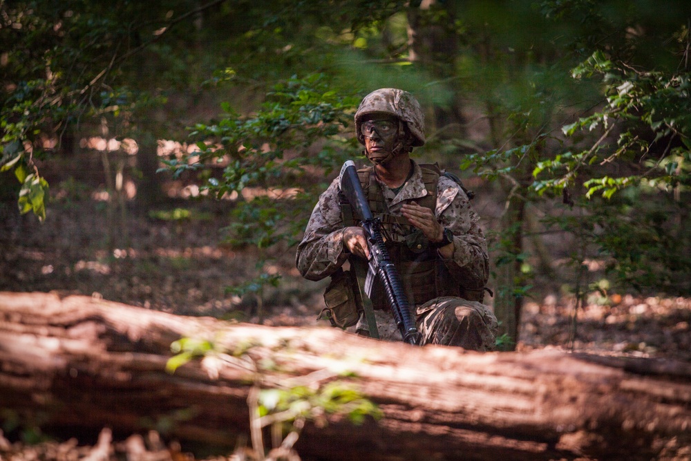 Marine Corps officer candidates conduct a field exercise