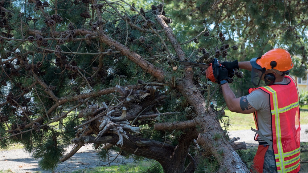 102nd Civil Engineers mobilize to assist tornado cleanup on Cape Cod