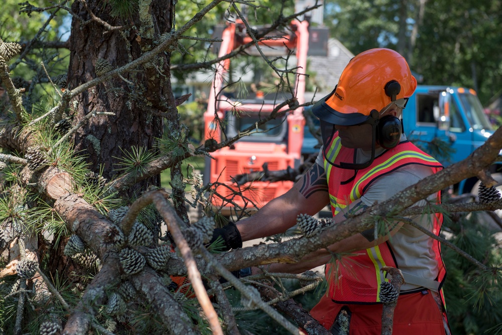 102nd Civil Engineers mobilize to assist tornado cleanup on Cape Cod