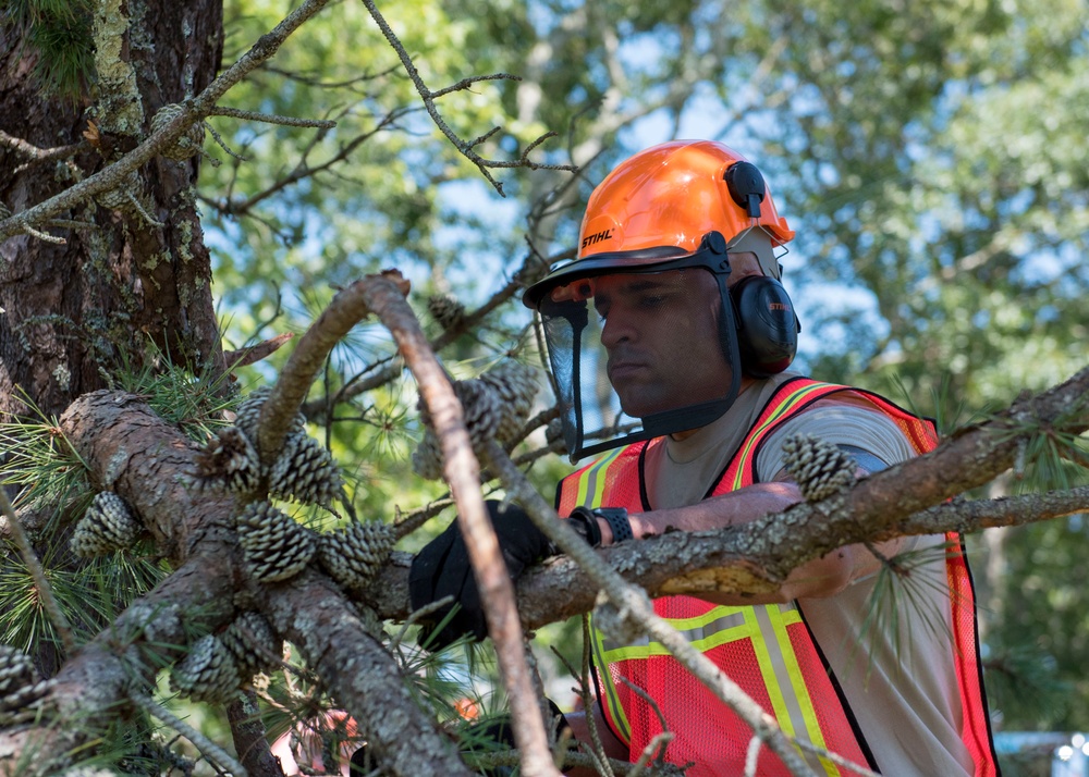 102nd Civil Engineers mobilize to assist tornado cleanup on Cape Cod