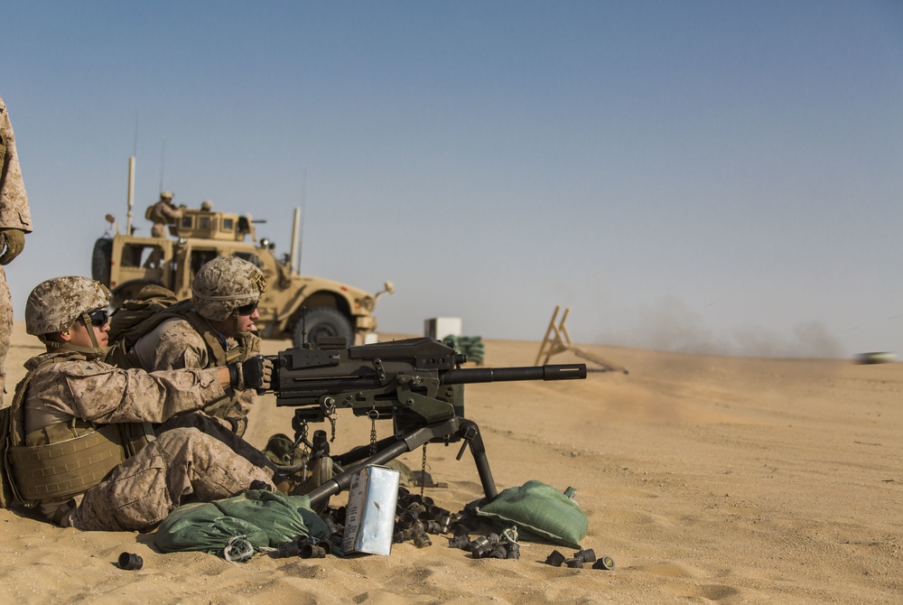 Marines and their Grenade Launchers