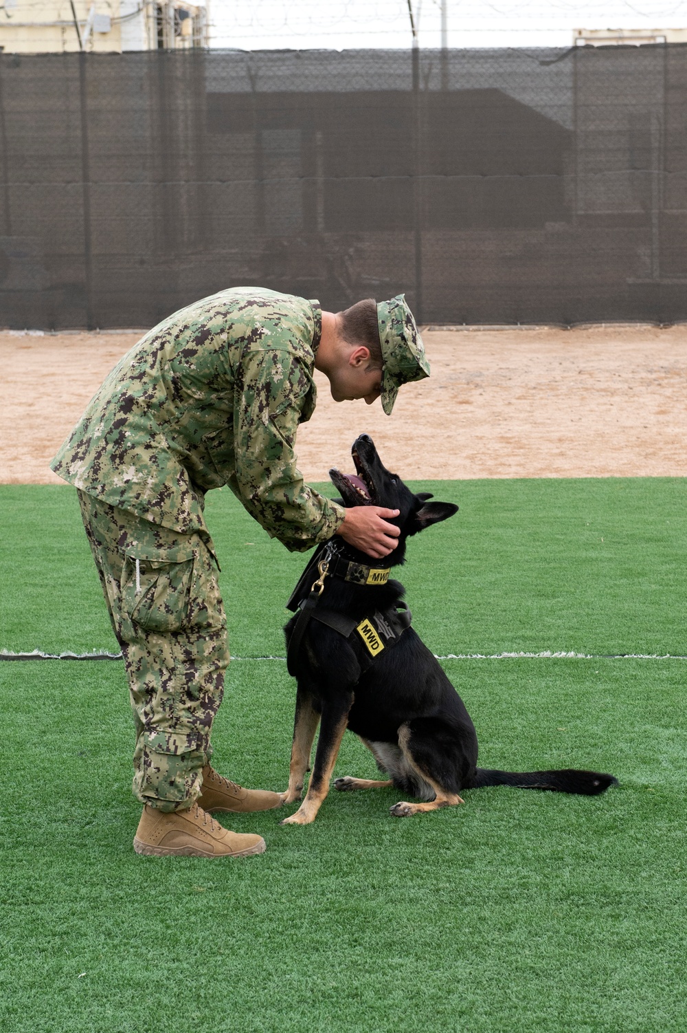 CLDJ Military Working Dog (MWD)