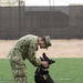 CLDJ Military Working Dog (MWD)