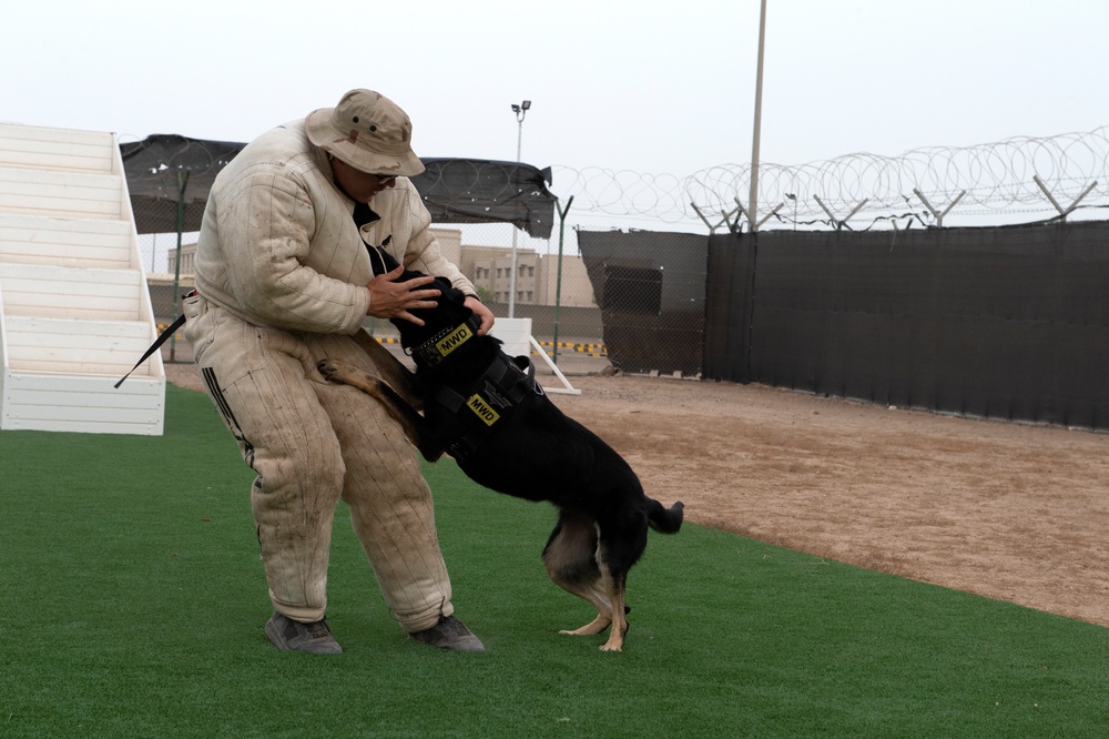 CLDJ Military Working Dog (MWD)