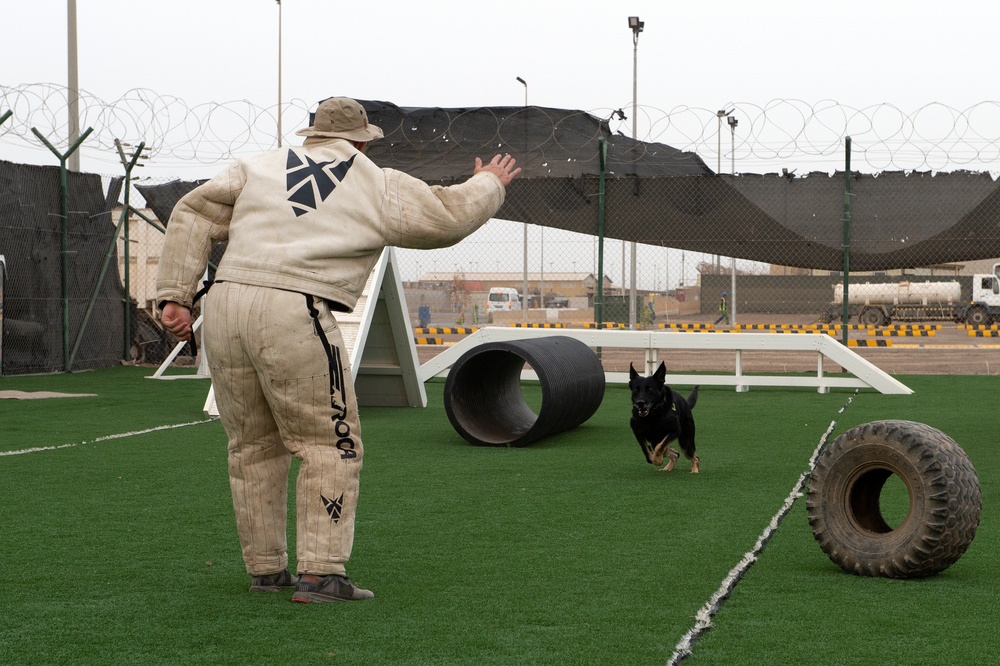 CLDJ Military Working Dog (MWD)